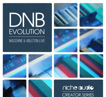 Niche Audio Creator Series DnB Evolution Maschine